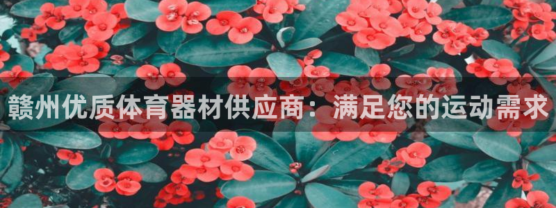 尊龙d88官网登录