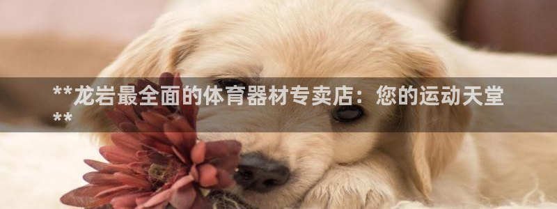 尊龙登录会员登录