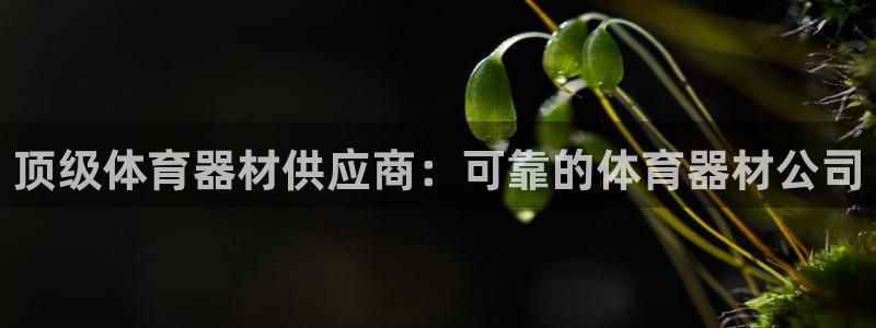 尊龙新版登录网址下载