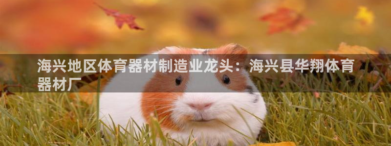 尊龙凯时发展历程