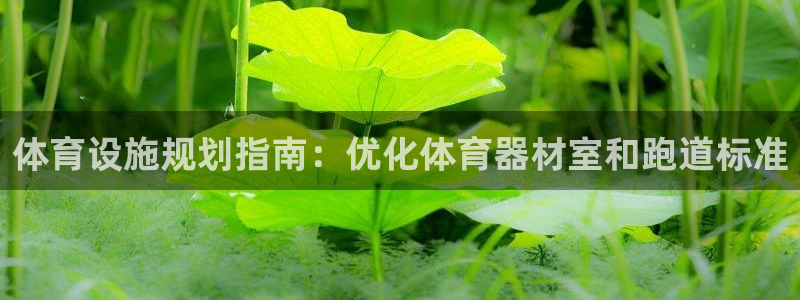 尊龙d88官网准认来就送38：体育设施规划指南：优化体育器材