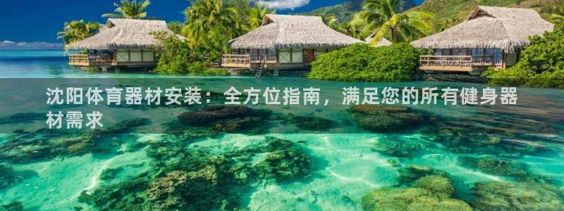 尊龙凯时能不能提现?：沈阳体育器材安装：全方位指南，满足您的