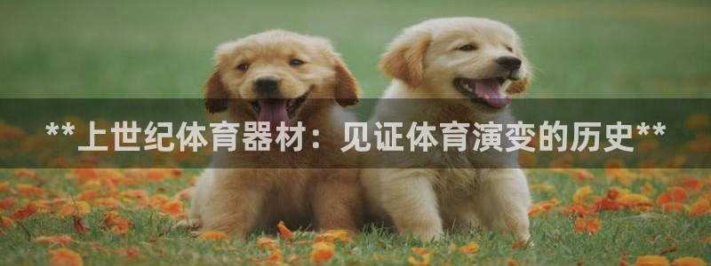 尊龙凯时网娱乐最新版