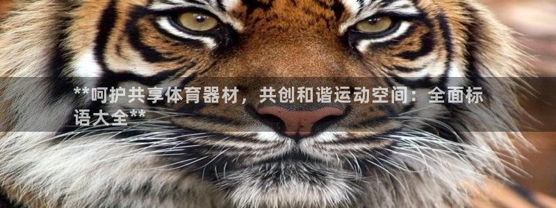 尊龙凯时可以提现吗