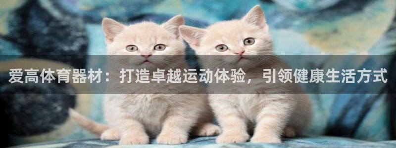 尊龙z6：爱高体育器材：打造卓越运动体验，引领健康生活方式