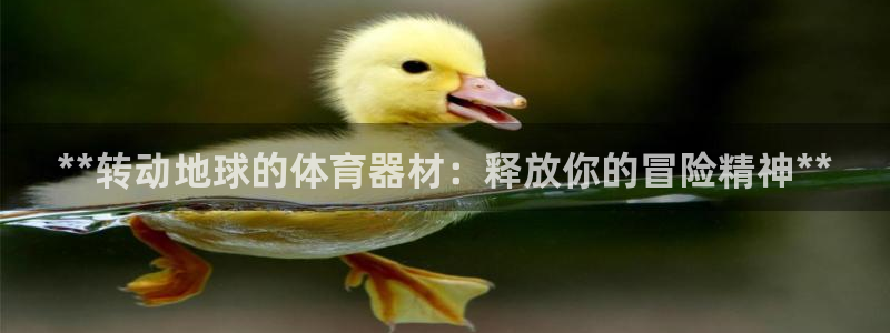 尊龙官网手