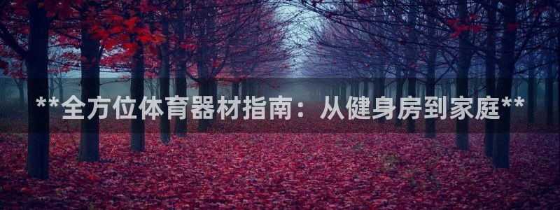尊龙凯时登录：**全方位体育器材指南：从健身房到家庭**