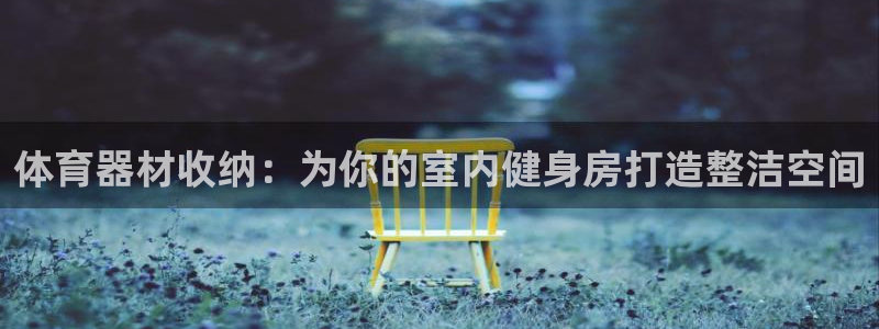 z6尊龙平台是哪里的：体育器材收纳：为你的室内健身房打造整洁