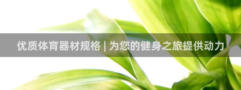 尊龙官网入口