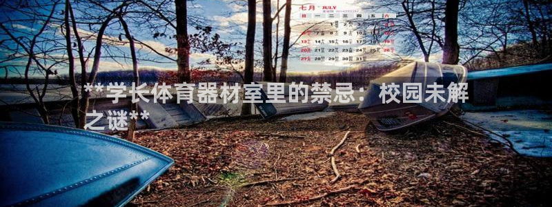 z6尊龙z6
