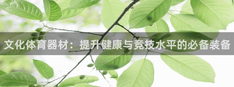 凯时平台app