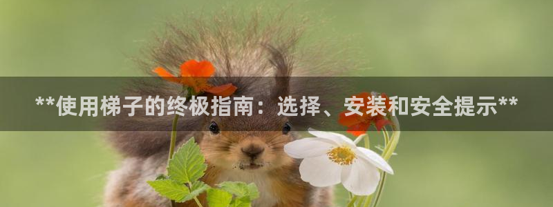 尊龙旗舰厅