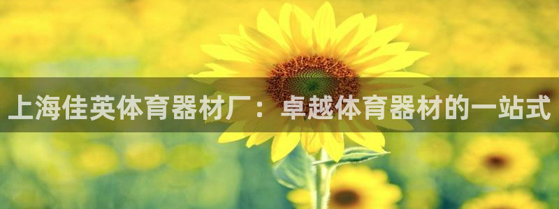 尊龙网址登录官网