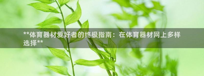 尊龙凯时人生就是搏包装优势
