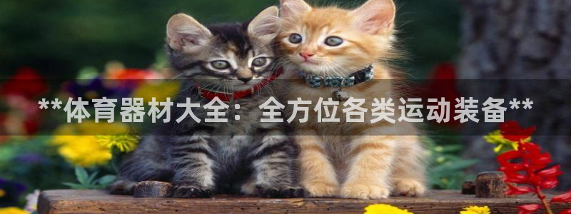 尊龙凯时平台还是万博好