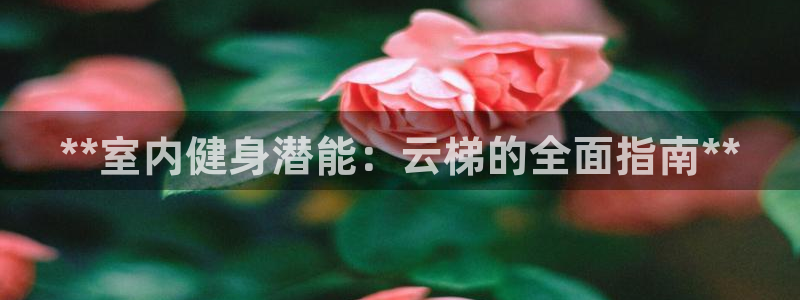 尊龙人生就是博d88官方网站