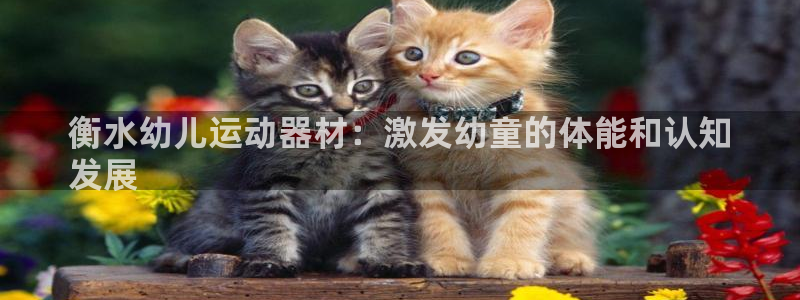 尊龙官网入口
