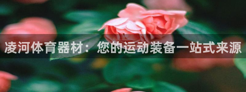 尊龙凯时集团