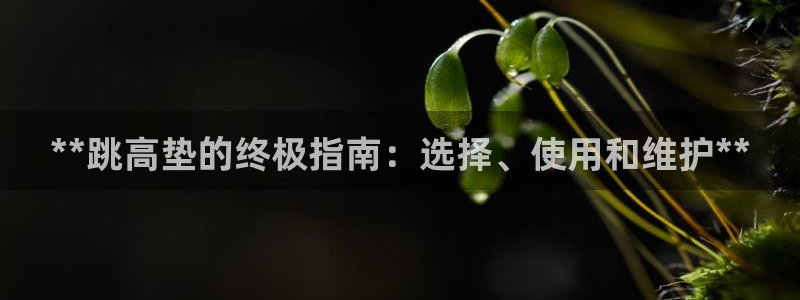 尊龙官方网站最新版V9.3.06介绍