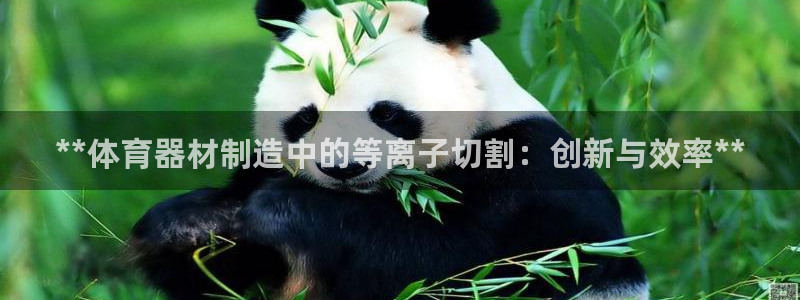 尊龙是什么软件：**体育器材制造中的等离子切割：创新与效率*