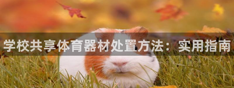 尊龙凯时 人生就是搏