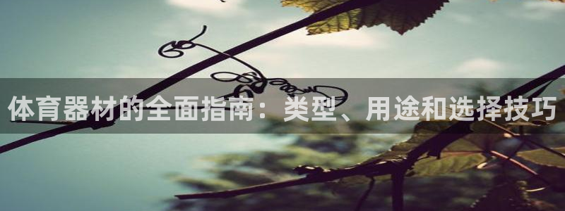 尊龙凯时美金能提取吗：体育器材的全面指南：类型、用途和选择技