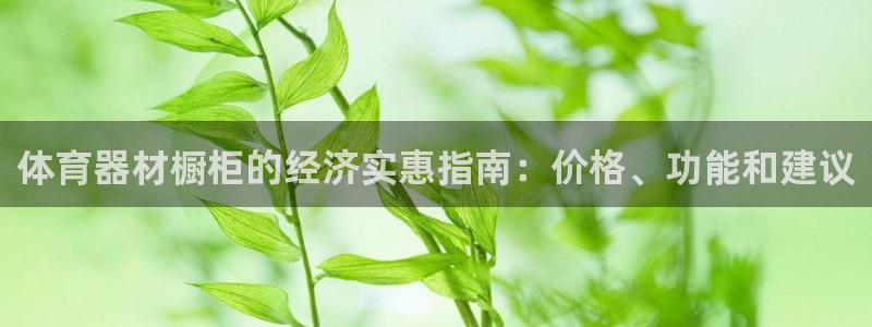 尊龙ag旗舰厅下载