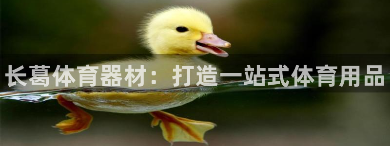尊龙新版手机app下载