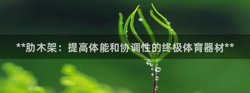 尊龙现金推荐ag发财网