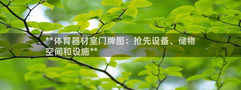 ag尊龙怎么样