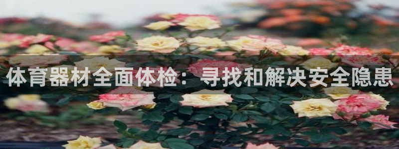 尊龙凯时人生就是搏包装优势