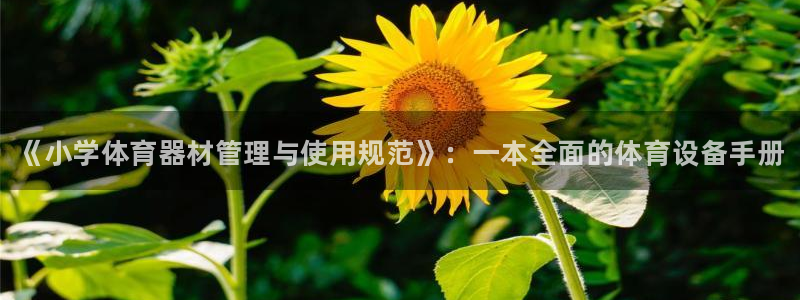 尊龙网站手机下载