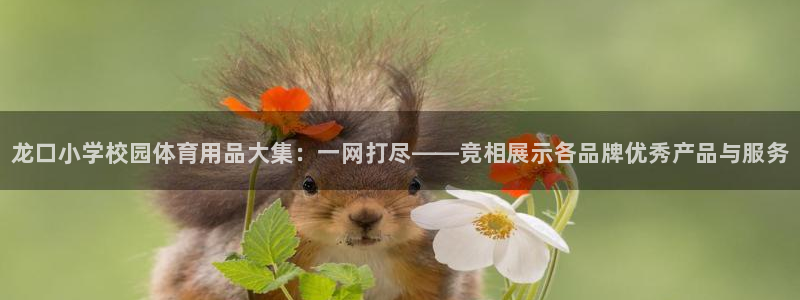 尊龙凯时 - 人生就是搏!提款怎么样