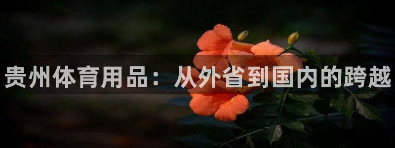 尊龙人生就是博旧版手机可靠送38元